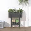 Image de vidaXL Jardinière Pin Massif Gris