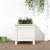 Image de vidaXL Jardinière bois de pin massif 40x40x39 cm