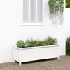 Image de vidaXL Lit surélevé de jardin blanc Bois de pin