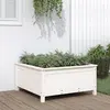 Image de vidaXL Jardinière blanc - Bois de pin