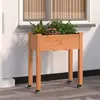 Image de vidaXL Jardinière sur roues avec doublure