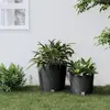 Image de vidaXL Jardinière rotin PP 35/37,5 L anthracite