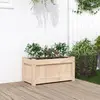 Image de vidaXL Jardinière d'extérieur 60x31x31 cm