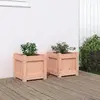 Image de vidaXL Jardinières bois douglas 2 pcs 31x31 cm