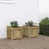 Image de vidaXL Jardinières 2 pcs bois de pin imprégné
