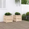 Image de vidaXL Jardinières x2 en bois de pin 50x50x50 cm
