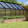 Image de vidaXL Jardinières en Bois Douglas