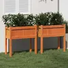 Image de vidaXL Jardinières Bois Pieds