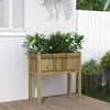 Image de vidaXL Jardinière avec Pieds - Pin Imprégné