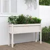 Image de vidaXL Jardinière avec Pieds 110x31x70 cm Bois de Pin Blanc