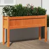Image de VIDAXL Jardinières avec pieds - Bois de pin