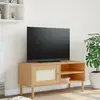 Image de vidaXL Meuble TV Senja - Aspect rotin