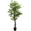 Image de VidaXL Ficus Artificiel