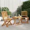 Image de VidaXL Ensemble à manger pliable 3 pcs - Acacia