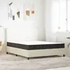 Image de vidaXL Matelas Bonnell