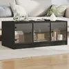 Image de vidaXL Table basse avec portes en verre noir 102x50x42 cm