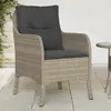 Image de vidaXL Chaises de jardin avec coussins