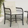 Image de vidaXL Chaises jardin 2 pièces résine tressée