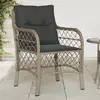 Image de vidaXL Chaises de jardin - Lot de 2 Gris clair
