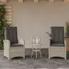 Image de vidaXL Chaises inclinables jardin lot de 2