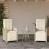Image de VidaXL Jardin Inclinable Rotin - Beige