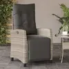 Image de vidaXL Chaise de Jardin Inclinable Rotin Gris Clair