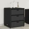 Image de VidaXL Armoire de Rangement Jardin Noir
