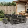 Image de VidaXL Ensemble salle à manger de jardin 11 pcs Gris poly