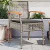 Image de vidaXL Chaises de jardin 2 pièces résine tressée