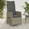 Image de vidaXL Chaise inclinable de jardin et coussins - Gris Résine tressée