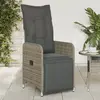 Image de Vidaxl Chaise inclinable de jardin avec coussins - Gris