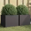 Image de vidaXL Jardinières 2 pcs - Noir