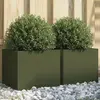 Image de VIDAXL Jardinières 2 pcs vert olive
