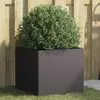 Image de vidaXL Jardinière Noir Acier