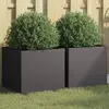 Image de vidaXL Jardinières 2 pcs Noir
