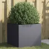 Image de vidaXL Jardinière Anthracite 42x40x39 cm Acier