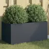 Image de VIDAXL Jardinière 62x30x29 cm - Acier anthracite