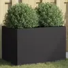 Image de vidaXL Jardinière Noir Acier