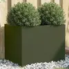 Image de vidaXL - Vert olive