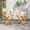 Image de vidaXL Chaises de réalisateur pliables lot de 2