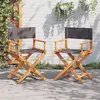 Image de vidaXL Chaises de réalisateur - Ensemble de 2 - Gris foncé
