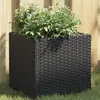 Image de vidaXL Jardinière résine tressée
