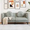 Image de vidaXL - Canapé gris clair velours avec coussins
