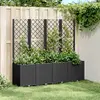 Image de vidaXL Jardinière avec Treillis 367873