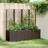 Image de VidaXL Jardinière à Treillis 160 cm - Marron