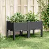 Image de vidaXL Jardinière avec pieds - Noir
