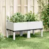 Image de VIDAXL Jardinière avec pieds