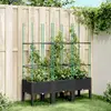 Image de vidaXL Jardinière avec Treillis 367958
