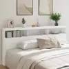 Image de vidaXL Armoire tête de lit avec LED blanc 220x17x102 cm