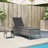 Image de vidaXL Chaise longue avec table - Gris